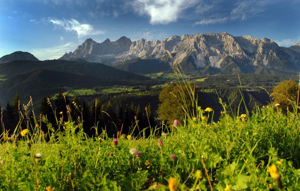 Apartment Oesterreich Ramsau am Dachstein Kamer foto
