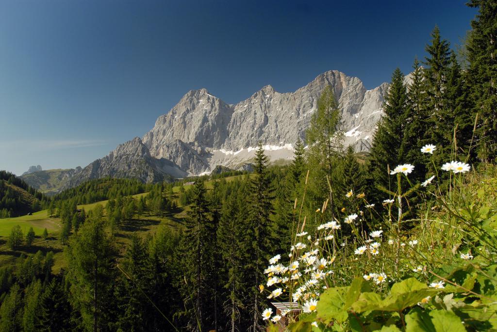 Apartment Oesterreich Ramsau am Dachstein Kamer foto